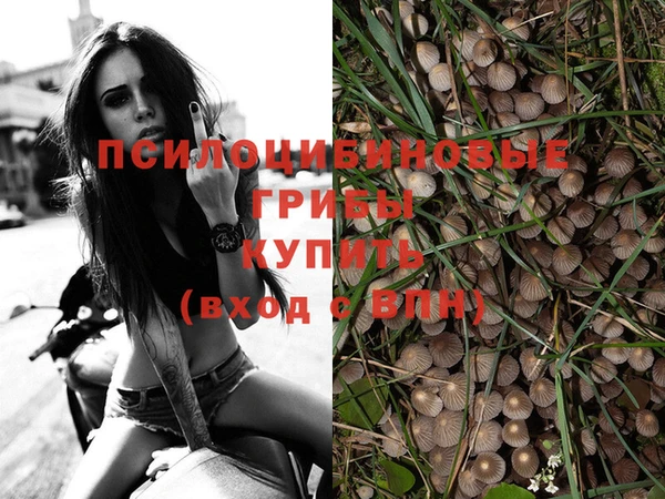 синтетический гашиш Алексеевка