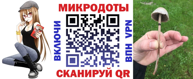 Псилоцибиновые грибы MAGIC MUSHROOMS  наркотики  Сураж 